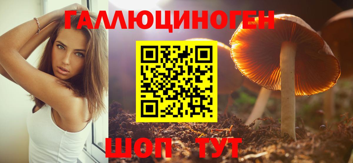 Галлюциногенные грибы прущие грибы  Псилоцибиновые грибы MAGIC MUSHROOMS  Серпухов  Вход с VPN 